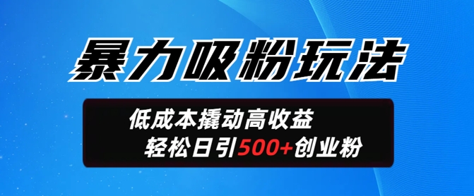 暴力吸粉玩法，日引500+精准创业粉，日变现轻松多张-网亿资源平台