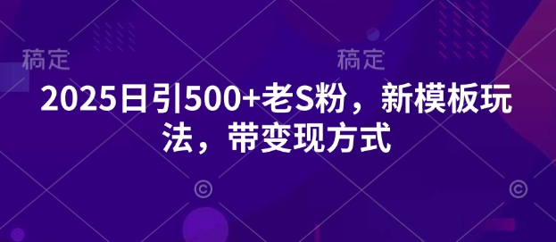 2025日引500+老S粉，新模板玩法，带变现方式-网亿资源平台