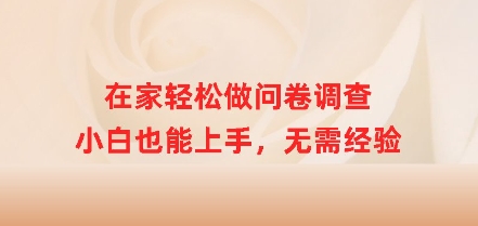 在家轻松做问卷调查，小白也能上手，无需经验-网亿资源平台