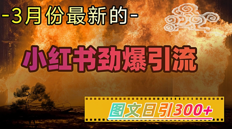 小红书超劲爆引流手段，图文日引300+轻松变现1W-网亿资源平台