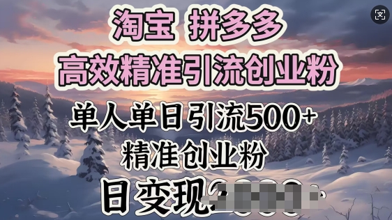 淘宝拼多多高效精准引流创业粉，单人单日引流500+创业粉，日变现多张-网亿资源平台