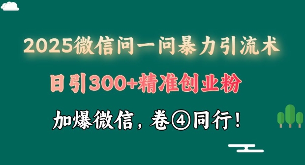 2025最新微信问一问暴力引流术揭秘，日引300+创业粉，单日变现四位数-网亿资源平台