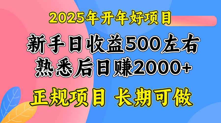（14076期）2025开年好项目，单号日收益2000左右-网亿资源平台