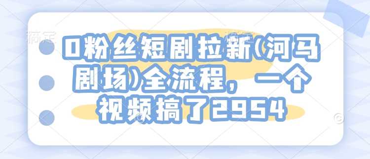 0粉丝短剧拉新(河马剧场)全流程，一个视频搞了2954-网亿资源平台