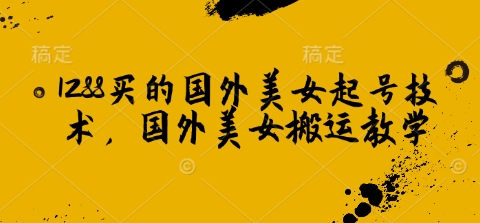 1288买的国外美女起号技术，国外美女搬运教学-网亿资源平台