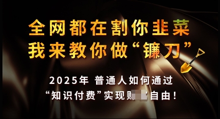知识付费如何做到月入过W+，2025我来教你做“镰刀”【揭秘】-网亿资源平台