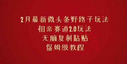 2月最新微头条野路子玩法，相亲赛道2.0玩法，无脑复制粘贴，保姆级教程-网亿资源平台
