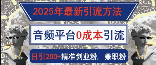 2025年最新引流方法，音频平台0成本引流，日引200+精准创业粉-网亿资源平台