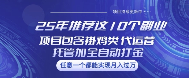 25年推荐这10个副业项目包含褂鸡类、代运营托管类、全自动打金类【揭秘】-网亿资源平台