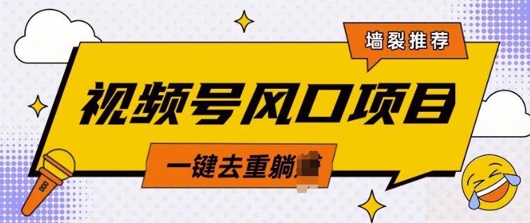 视频号风口蓝海项目，中老年人的流量密码，简单无脑，一键去重，轻松月入过W-网亿资源平台