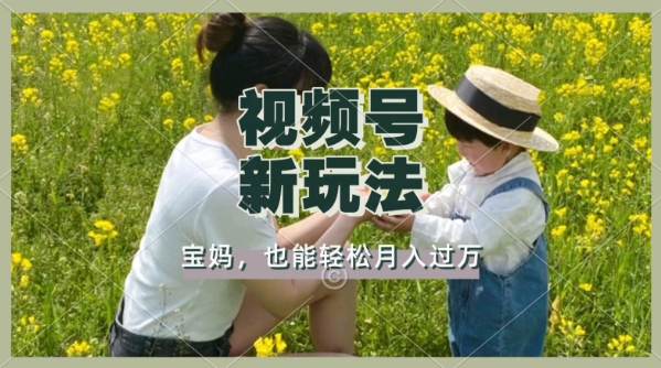利用车祸意外视频，撸视频号分成收益，轻松月入过W，操作简单，适合宝妈，上班族-网亿资源平台