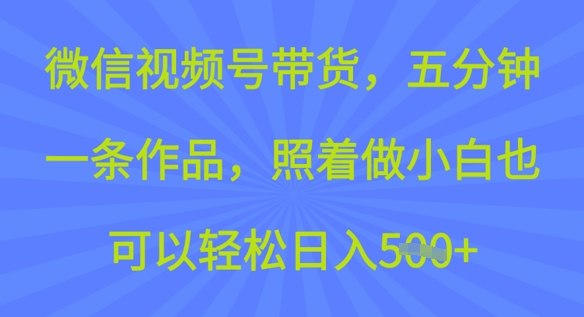 微信视频号带货，五分钟一条作品，照着做小白也可以轻松日入5张-网亿资源平台