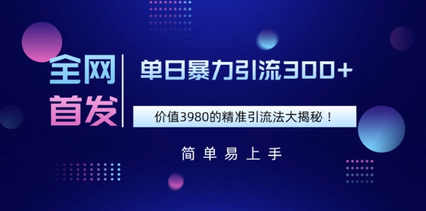 全网首发，价值3980单日暴力引流300+的精准引流法大揭秘-网亿资源平台