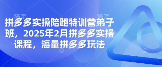 拼多多实操陪跑特训营弟子班，2025年2月拼多多实操课程，海量拼多多玩法-网亿资源平台