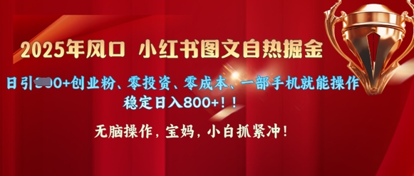 25年风口小红书图文掘金，日引300+创业粉、零投资、零成本、一部手机就能操作-网亿资源平台