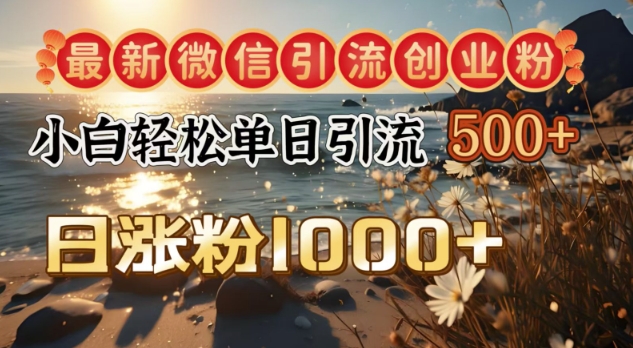 最新微信引流创业粉，小白单日轻松引流500+，日涨粉1000+-网亿资源平台