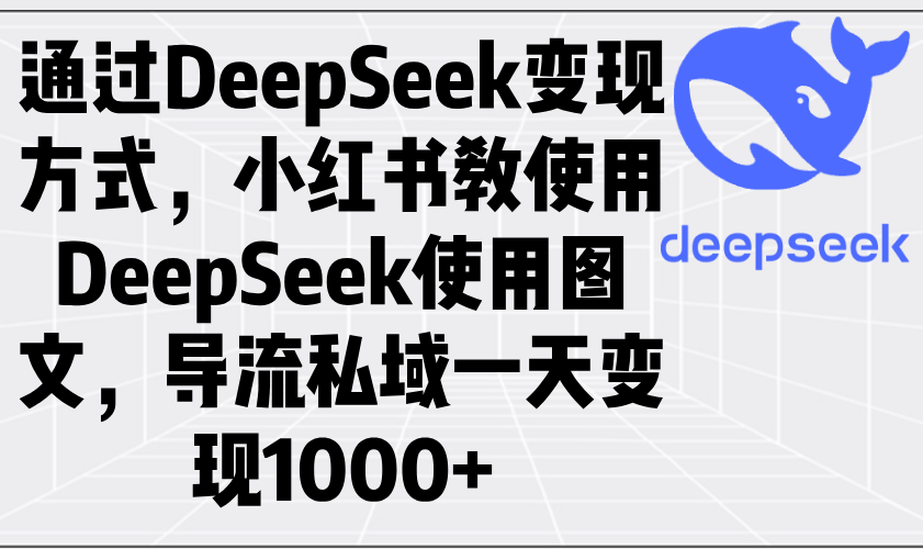（14179期）通过DeepSeek变现方式，小红书教使用DeepSeek图文，导流私域一天变现1000+-网亿资源平台