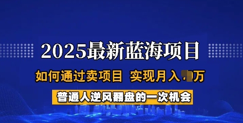 2025蓝海项目，普通人如何通过卖项目，实现月入过W，全过程【揭秘】-网亿资源平台