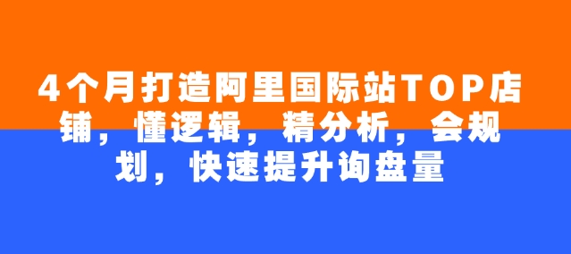 4个月打造阿里国际站TOP店铺，懂逻辑，精分析，会规划，快速提升询盘量-网亿资源平台