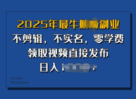 ​2025年最牛副业，不剪辑，不实名，零学费，零粉可做，领取视频直接发布，有播放就有收益-网亿资源平台