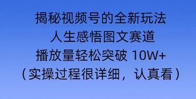 Deepseek和即梦结合，做一个【人生图文感悟】的视频号-网亿资源平台