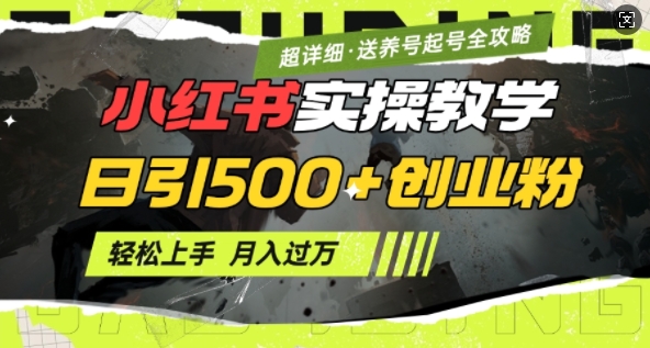 2月小红书最新日引500+创业粉实操教学【超详细】小白轻松上手，月入1W+，附小红书养号起号SOP-网亿资源平台