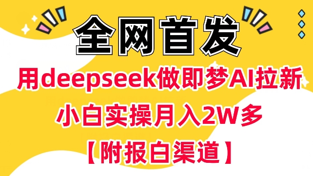 用deepseek做即梦Ai拉新 小白实操月入过W+【附报白渠道】-网亿资源平台