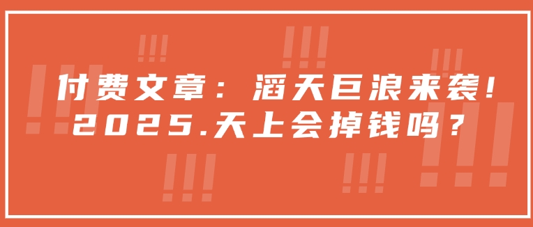 付费文章：滔天巨浪来袭！2025天上会掉钱吗？-网亿资源平台