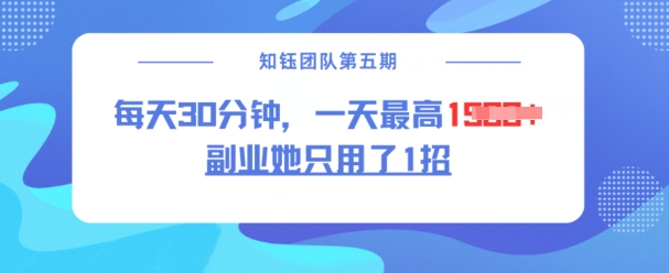 副业她只用了1招，每天30分钟，无脑二创，一天最高1.5k-网亿资源平台