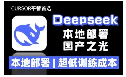 2025年deepseek R1 大型模型本地安装部署(文件+教程)本地部署，超低训练成本-网亿资源平台