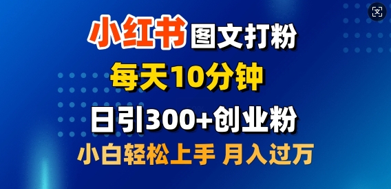 2月小红书图文打粉，每天10分钟，日引300+创业粉，小白轻松月入过W-网亿资源平台