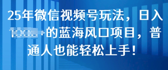 25年微信视频号玩法，日入几张的蓝海风口项目，普通人也能轻松上手!-网亿资源平台