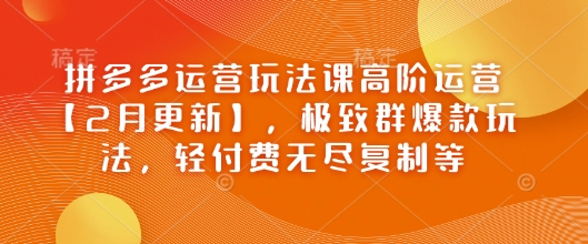拼多多运营玩法课高阶运营【2月更新】，极致群爆款玩法，轻付费无尽复制等-网亿资源平台