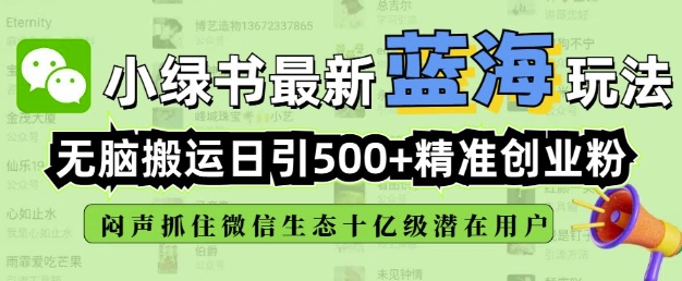 小绿书无脑搬运引流，全自动日引500精准创业粉，微信生态内又一个闷声发财的机会-网亿资源平台