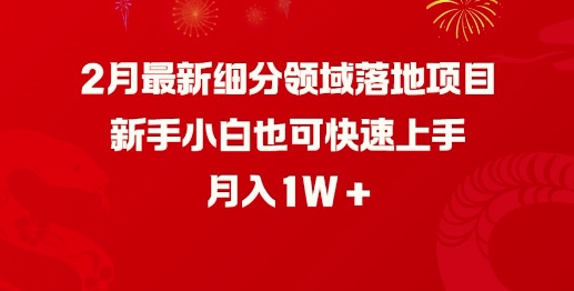 2月最新细分领域落地项目，新手小白也可快速上手，月入1W-网亿资源平台