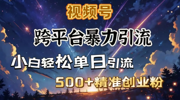 跨平台暴力引流，私域完美闭环，日引500+精准创业粉-网亿资源平台