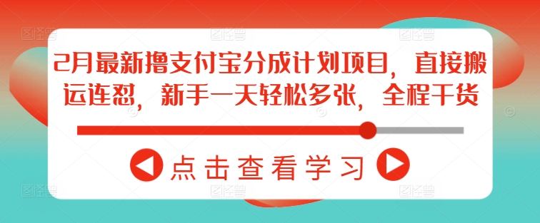 2月最新撸支付宝分成计划项目，直接搬运连怼，新手一天轻松多张，全程干货-网亿资源平台